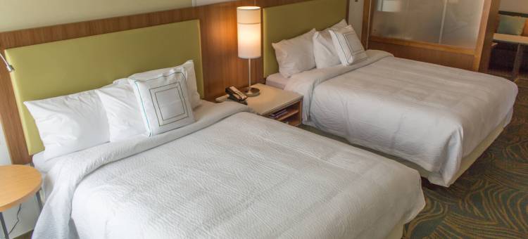 萨姆特万豪SpringHill酒店(SpringHill Suites Sumter)图片