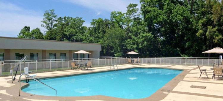 蒙蒂塞洛舒适酒店(Comfort Inn Monticello)图片