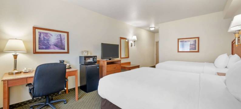 罗林斯舒适酒店(Comfort Inn & Suites)图片