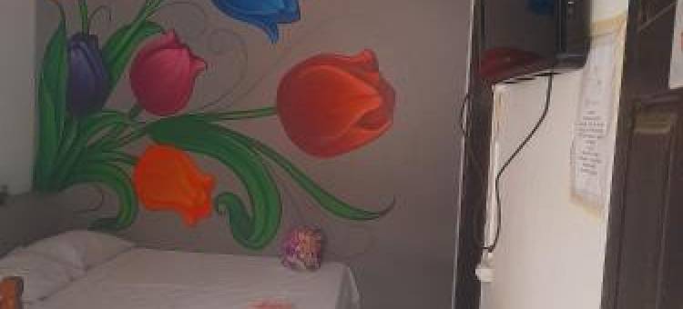 布齐奥斯芙萝拉旅馆(Pousada Flora Búzios)图片