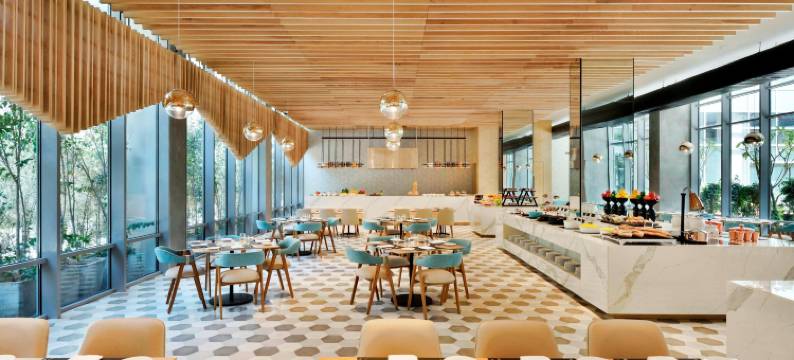 新德里航空城雅乐轩酒店(Aloft New Delhi Aerocity)图片