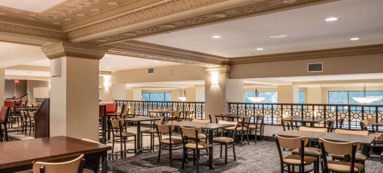 威奇托博文德鲁里广场酒店(Drury Plaza Hotel Broadview Wichita)图片