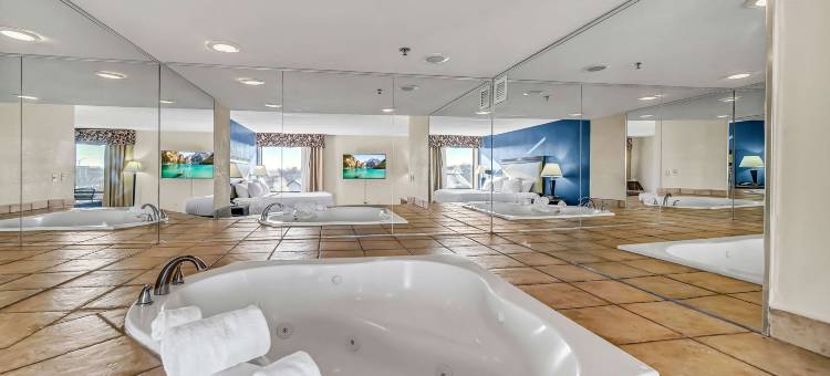 绍姆堡丽笙酒店(Radisson Hotel Schaumburg)图片