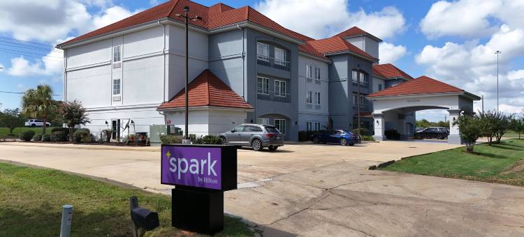 希尔顿布兰登 Spark 酒店(Spark by Hilton Brandon)图片