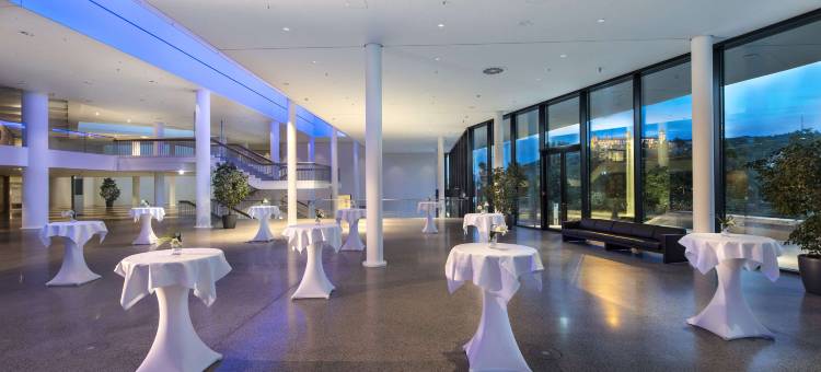 玛丽蒂姆伍兹堡酒店(Maritim Hotel Würzburg)图片