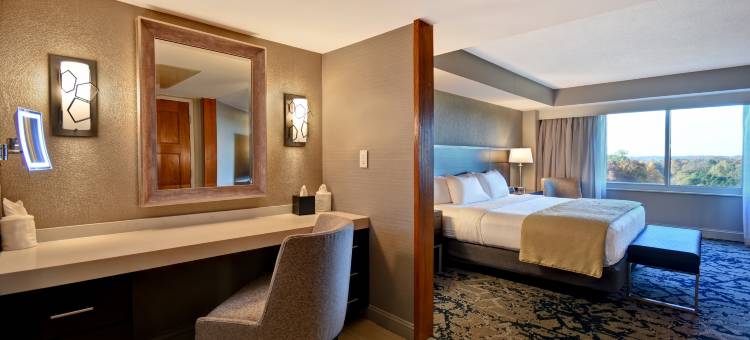 罗利达勒姆三角研究园希尔顿安泊酒店(Embassy Suites by Hilton Raleigh Durham Research Triangle)图片