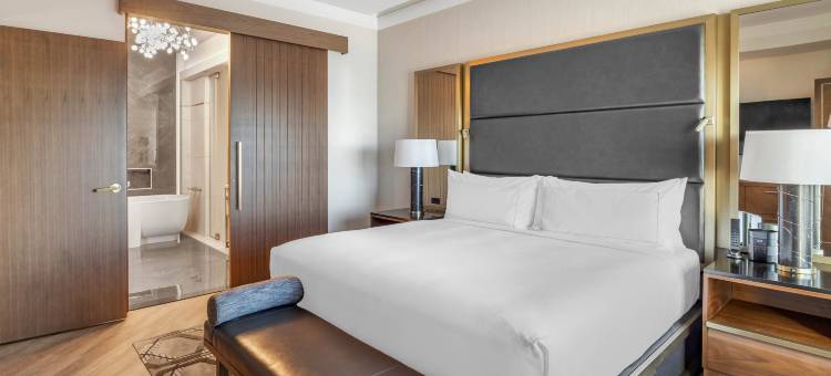 希尔顿俱乐部伊拉拉拉斯维加斯(Hilton Club Elara Las Vegas)图片