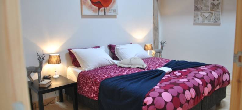 登黑德莱康提旅馆(Erfgoed & Logies Den Heijkant)图片