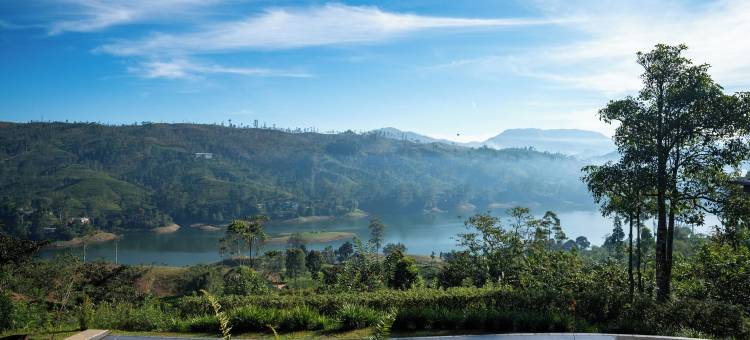 茶花山(Camellia Hills)图片