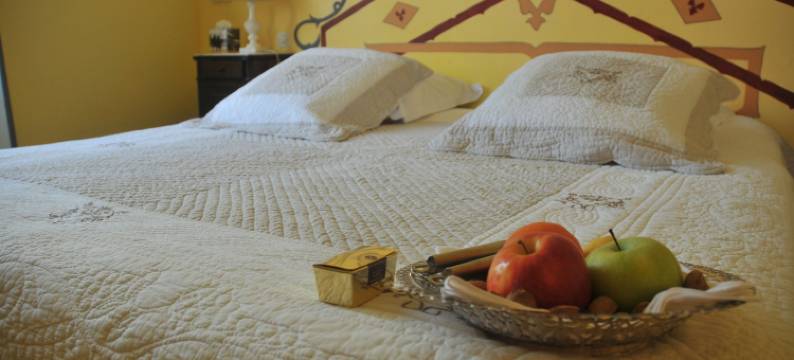 大吉尔海姆地区酒店(Mas Montluzia)图片