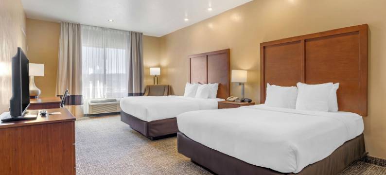 会议中心内舒适酒店(Comfort Inn at Convention Center)图片