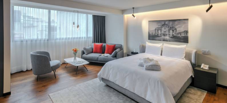 安贝雷斯64号- Ascend精选酒店(Amberes 64, Ascend Hotel Collection)图片