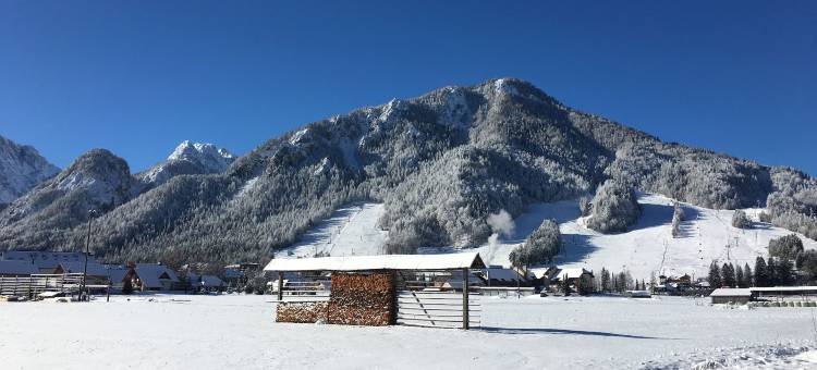 Berghi酒店和公寓(Berghi Hotel and Apartments)图片