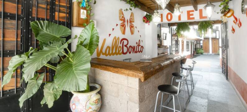 布拉沃谷波尼托谷酒店(Hotel Valle Bonito, Valle de Bravo)图片