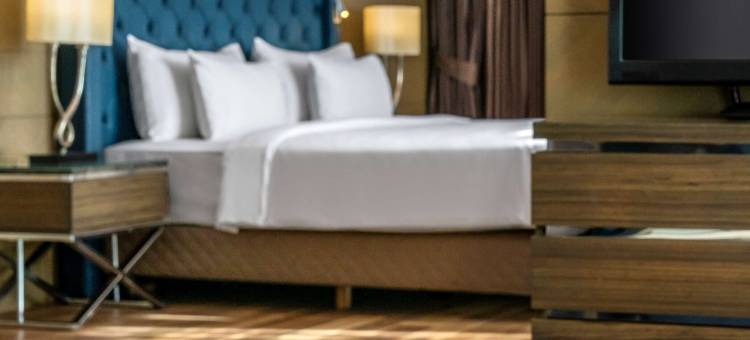 伊斯坦布尔希什利丽笙酒店(Radisson Blu Hotel, Istanbul Sisli)图片