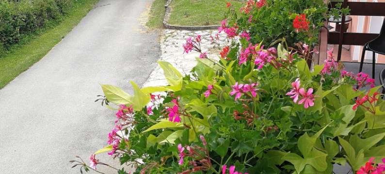 霍达科布拉森卡旅馆(Guesthouse Blazenka Hodak)图片