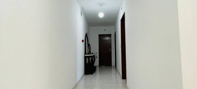 只有海(So Mar)图片