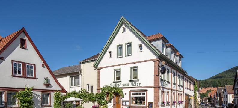 埃德勒酒店(Adler Landhotel)图片