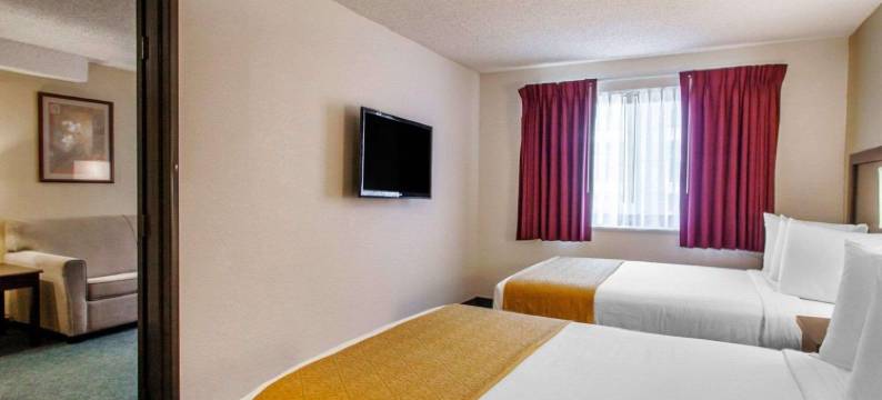 凯艺套房酒店(Quality Inn & Suites)图片