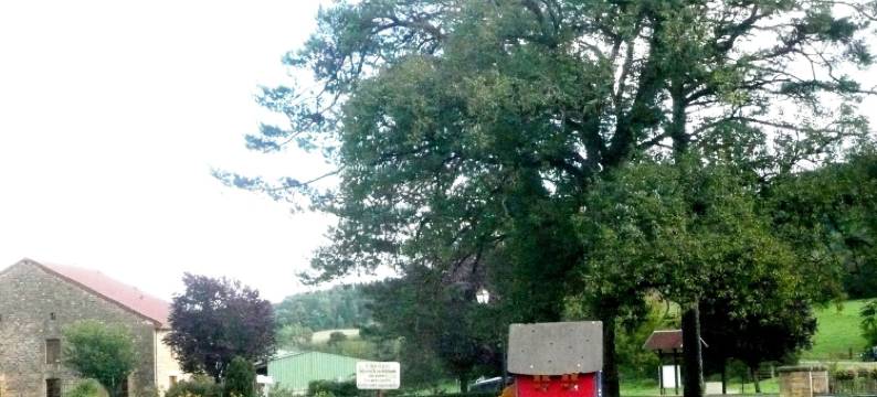 金克洛斯阿登内斯住宿加早餐旅馆(Au Clos d'Ardennes)图片