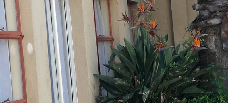 奈希尔度假屋 & 月见草小屋酒店(Naisar Holiday Home & Cottage Primrose)图片