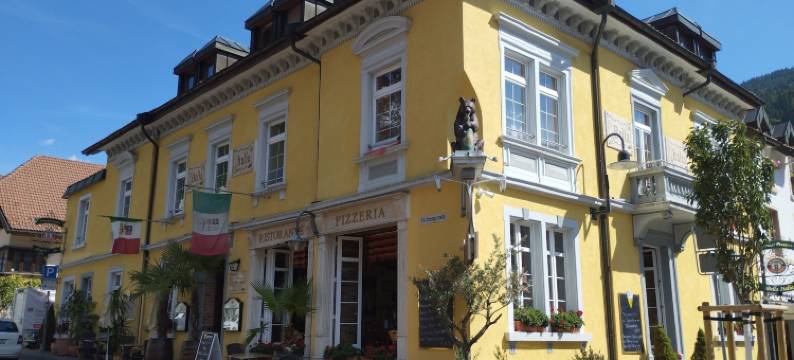 黑森林酒店(Black Forest Hotel Todtnau)图片