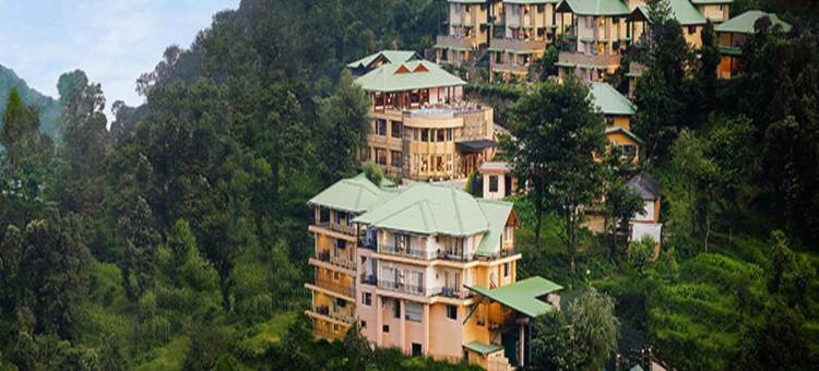 阿赖雅帕兰普尔(Araiya Palampur)图片