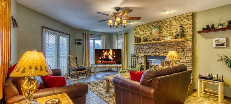 树梢由HoneyBear小屋(Tree Tops by HoneyBear Cabins)图片