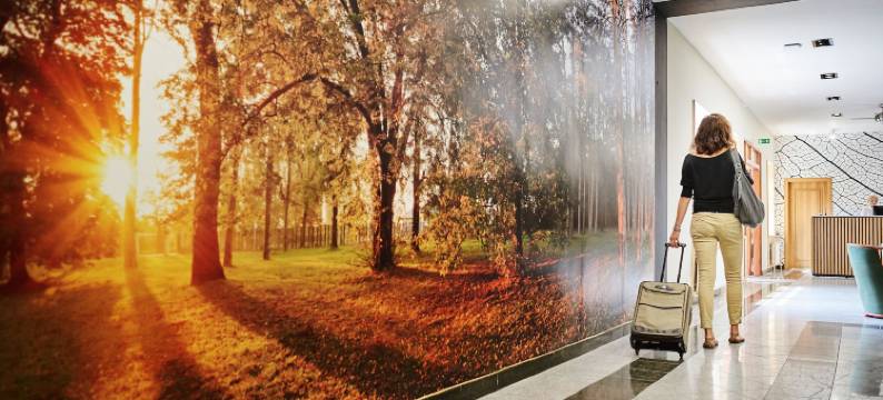 公园酒店(Park Hotel)图片