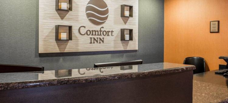 舒适酒店和套房卢伯顿中心I-95(Comfort Inn & Suites Lumberton Central I-95)图片