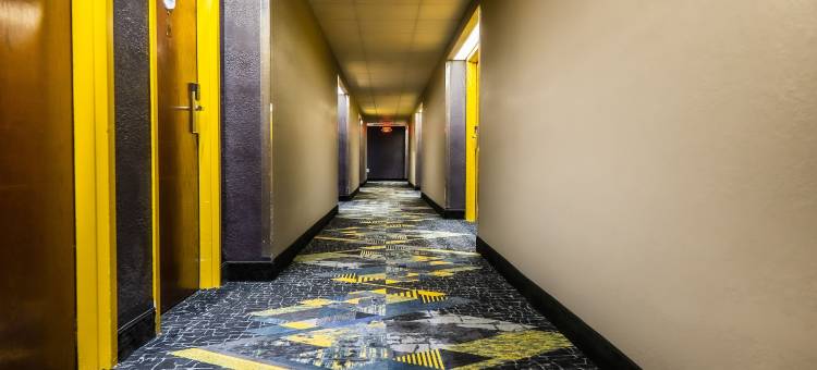 伦敦肯塔基州呗盟套房酒店(Baymont by Wyndham London KY)图片