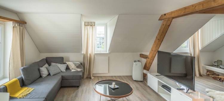 天空之家车站附近乐闻普拉茨公寓(Löwenplatz Apartment Near Station by Airhome)图片