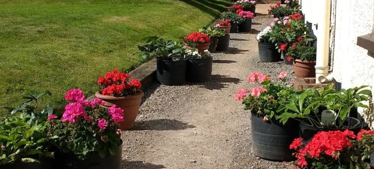 布拉姆布蕾丝住宿加早餐酒店(Brambles Bed and Breakfast)图片