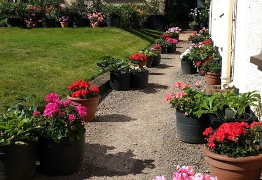 Brambles Bed and Breakfast Hotel Overview