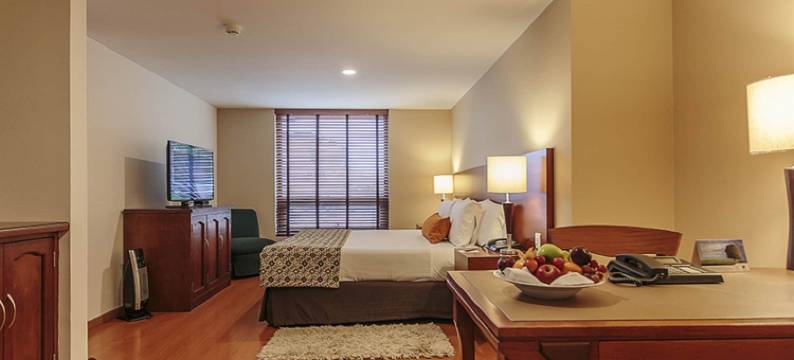 埃斯特拉琼斯套房酒店(Hotel Estelar Suites Jones)图片