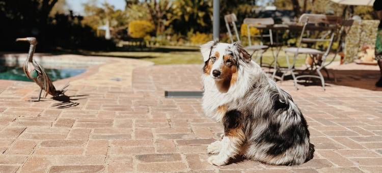 马尔科姆小屋(Malcolm Lodge)图片