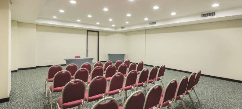 南卡希亚斯天鹅酒店(Swan Caxias do Sul)图片