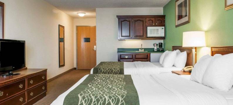 戈申舒适酒店(Comfort Inn)图片