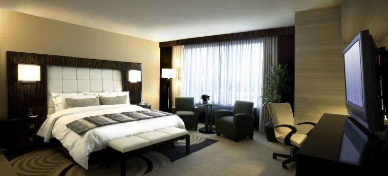 热血车城娱乐场酒店(MotorCity Casino Hotel)图片