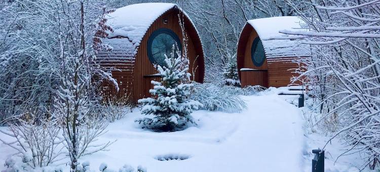 布里斯高生态华丽露营度假村(Glamping Resort Biosphäre Bliesgau)图片