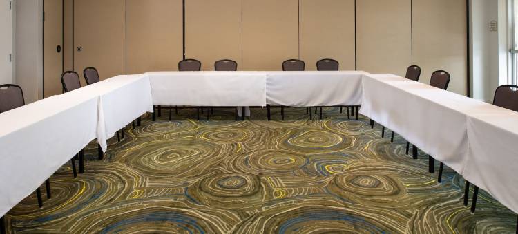 巴吞鲁日机场希尔顿花园酒店(Hilton Garden Inn Baton Rouge Airport)图片