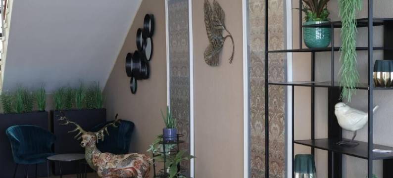 酒店卡罗拉鲁(Hotel Carolaruh)图片