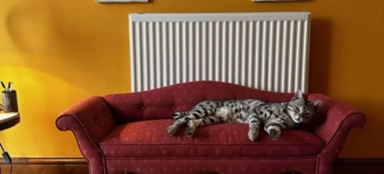 砖厂农舍住宿加早餐旅馆(Brickfields Farm)图片