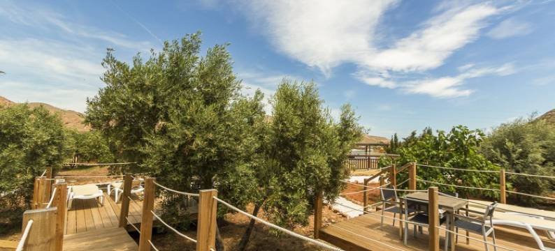 金与光酒店(Oro y Luz)图片