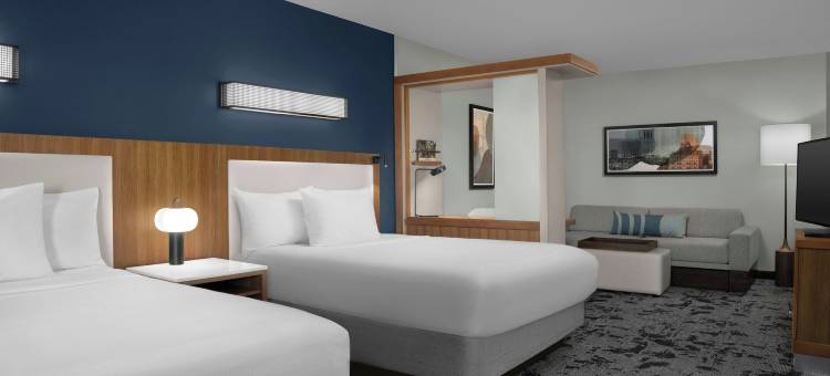 萨凡纳市中心/历史街区万豪SpringHill酒店(SpringHill Suites Savannah Downtown/Historic District)图片