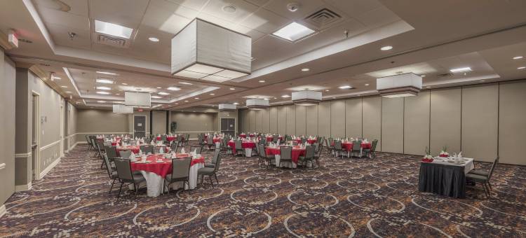 Holiday Inn 奥斯汀城(Holiday Inn Austin Midtown)图片