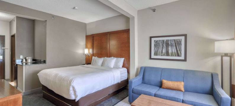 阿普尔顿机场舒适套房酒店(Comfort Suites Appleton Airport)图片