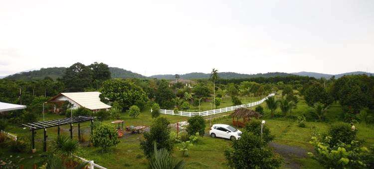 我们的生态农场旅馆(Our Eco Farm)图片