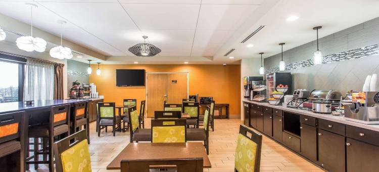 库克维尔舒适套房酒店(Comfort Inn & Suites Cookeville)图片