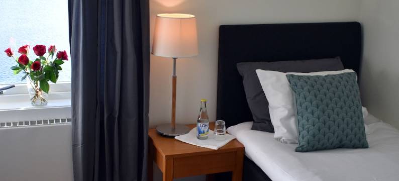 哈维尔鲁迪斯酒店(Håveruds Hotell Och Konferens)图片